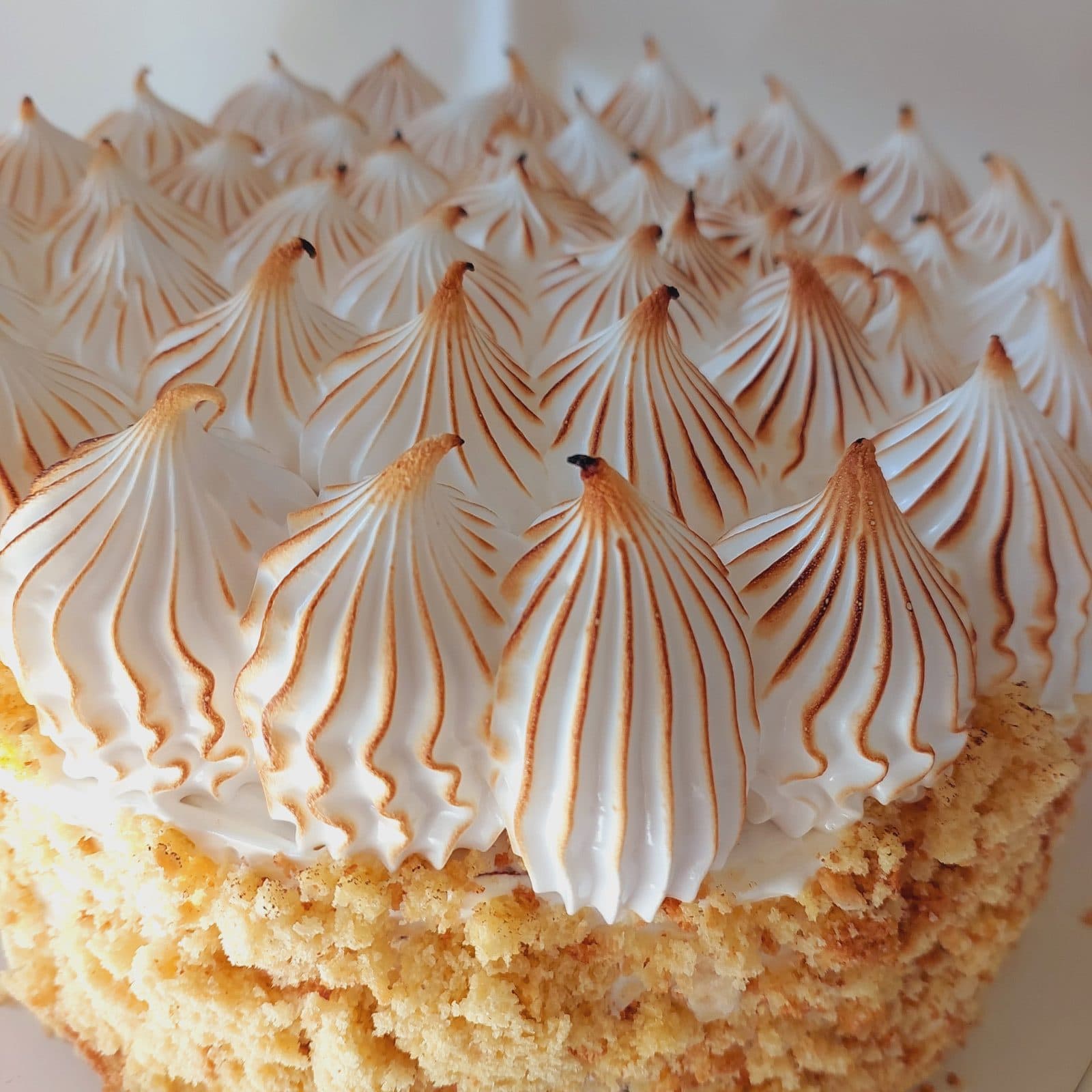 Torta Tres Leches — foto secundaria